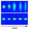 Localized by disorder. Images of temporal evolution of the Bose-Einstein Condensate (BEC). Without disorder (top) the BEC expands freely in the non-confined direction, shown as vertical. With disorder (bottom) the BEC stays localized.