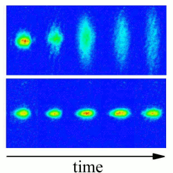 Localized by disorder. Images of temporal evolution of the Bose-Einstein Condensate (BEC). Without disorder (top) the BEC expands freely in the non-confined direction, shown as vertical. With disorder (bottom) the BEC stays localized.
