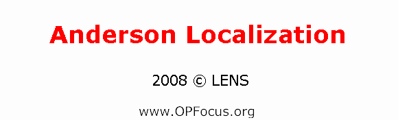 Anderson Localization at LENS - movie