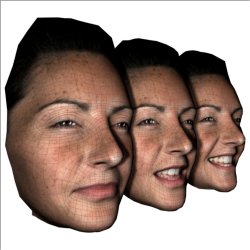 DI3D� facial 3D capture system. 