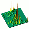 Anderson localized modes of light. The high intensity peaks show the random positions where the light emitted in a disordered photonic crystal waveguide becomes strongly localized. These are signatures of Anderson localization of light.