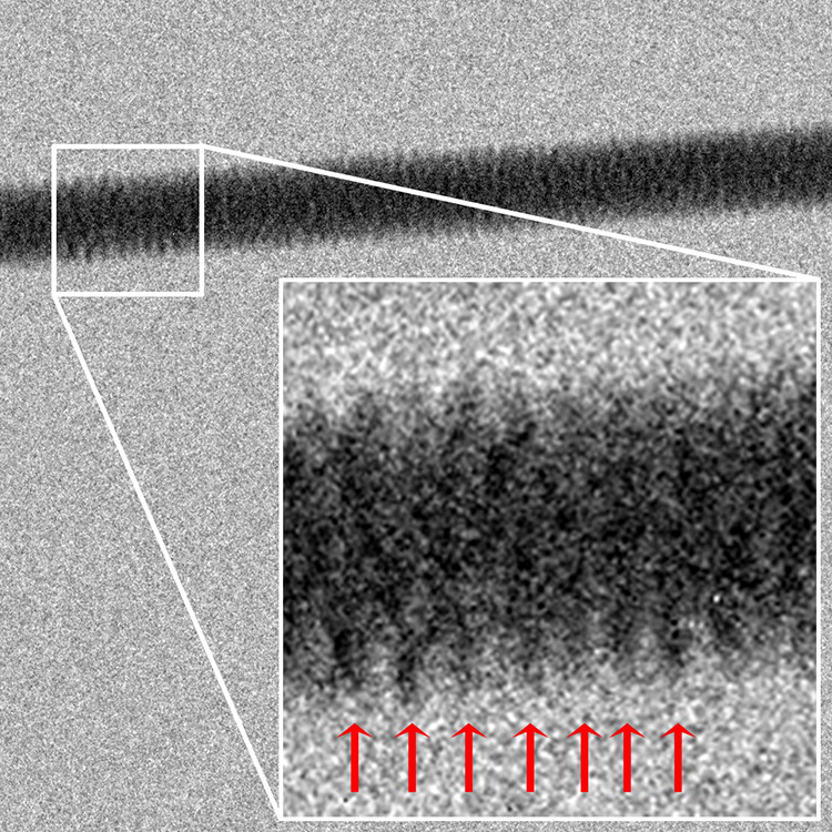 TEM image of a DNA bundle. An image of a DNA bundle obtained using Transmission Electron Microscopy. The periodical pattern of the windings can be seen.
