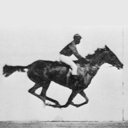 The galloping race horse. By taking pictures of a process at different times and recombining the images, one can get a better understanding of a dynamical process. This picture, for example, proved that a race horse does take all feet off the ground while galloping. High-speed laser pulses can be used to image fast processes like electrons orbiting in molecules at different times.